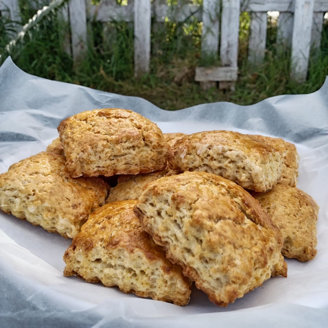 Freshly baked scones, one broken open to show the crumb.