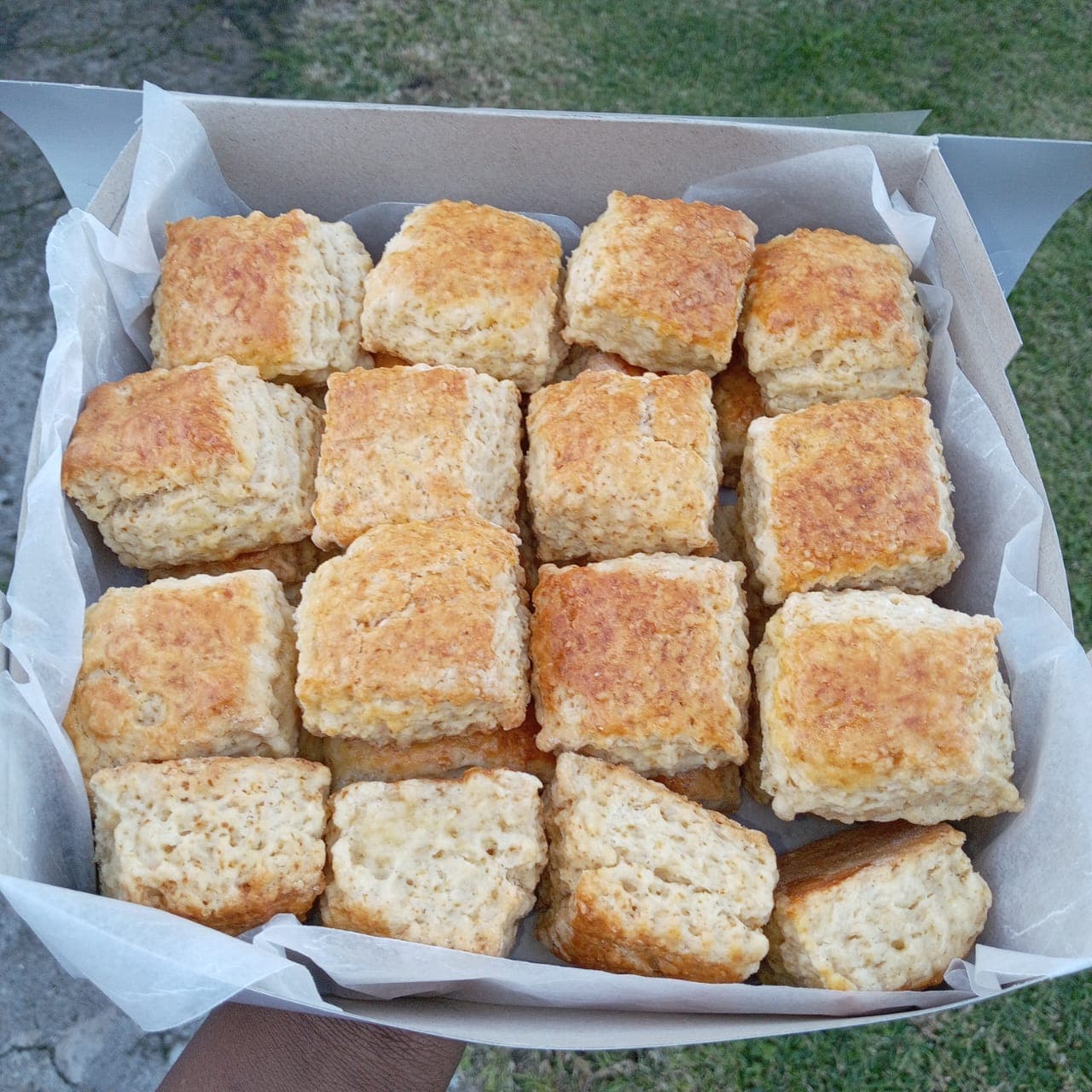 A box of golden scones lined with baking paper.